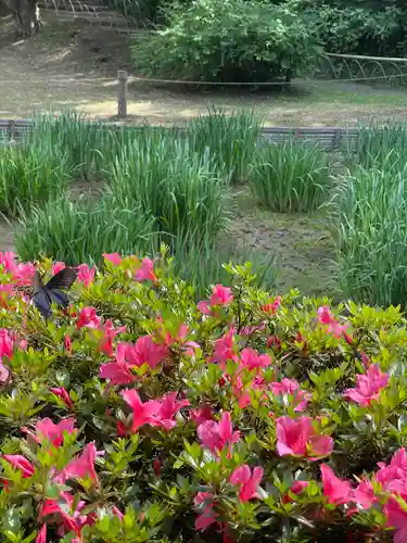 明治神宮の自然