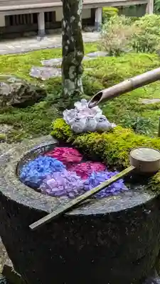 柳谷観音　楊谷寺(京都府)