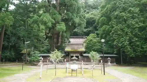 若狭姫神社（若狭彦神社下社）の建物その他