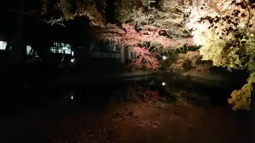 清水寺の{uncategorized: "未分類", other: "その他", undefined: "問題あり", building: "その他建物", grave: "お墓", sacred_gate: "鳥居", guardian: "狛犬", statue: "像", buddha: "仏像", history: "歴史", nature: "自然", garden: "庭園", animal: "動物", pagoda: "塔", temizu: "手水舎", mountain_gate: "山門・神門", sanctuary: "本殿・本堂", subordinate: "末社・摂社", art: "芸術", scenery: "景色", jizo: "地蔵", ema: "絵馬", goshuin: "御朱印", omikuji: "おみくじ", items: "授与品その他", amulet: "お守り", goshuincho: "御朱印帳", eats: "食事", festival: "お祭り", votive_dance: "神楽", shichigosan: "七五三参", wedding: "結婚式", experience: "体験その他", initially: "初詣", around: "周辺", anti_infection: "感染症対策"}