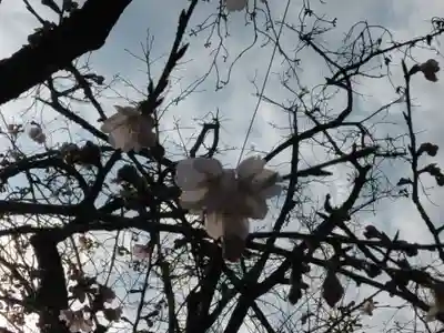 靖國神社(東京都)