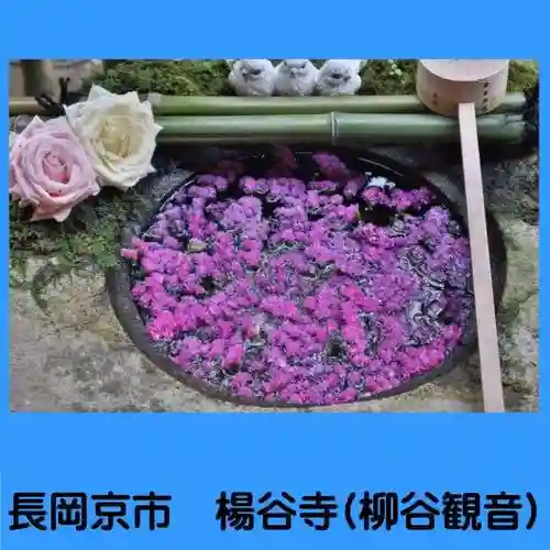 柳谷観音　楊谷寺(京都府)