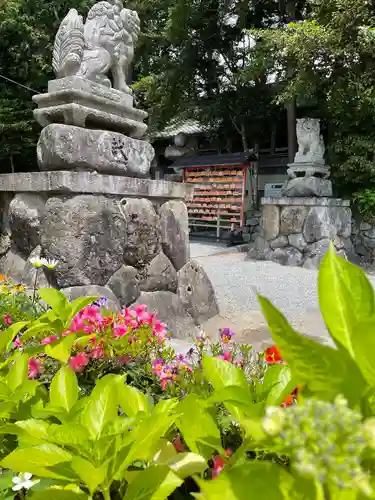 立志神社の狛犬