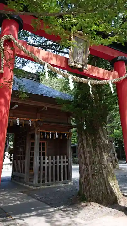 淺間神社(忍野八海)の鳥居