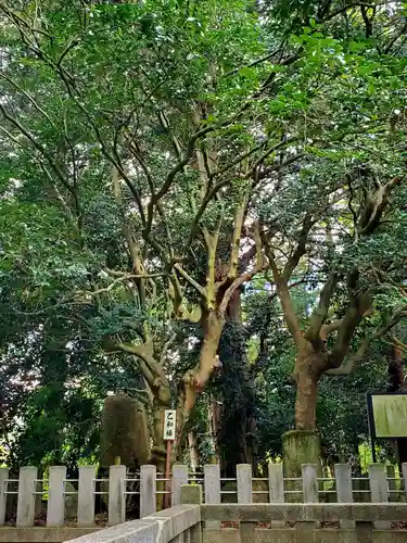 医王寺(福島県)