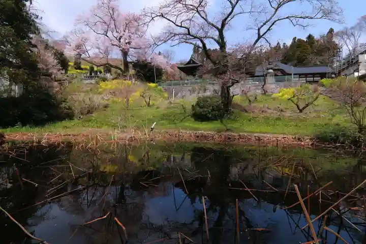曹洞宗 永松山 龍泉寺の景色