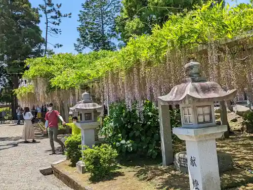 三大神社(滋賀県)