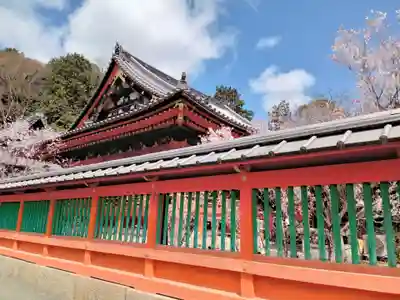 毘沙門堂門跡(京都府)