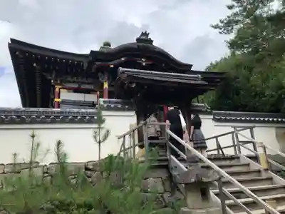 高台寺(高台寿聖禅寺・高臺寺)の本殿・本堂