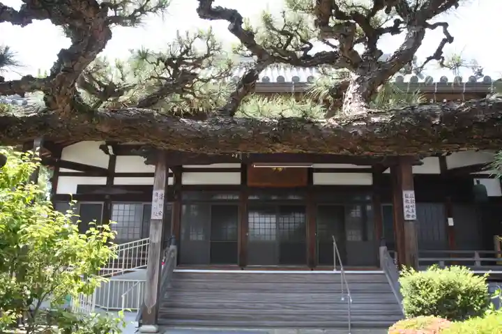 圓立寺(滋賀県)