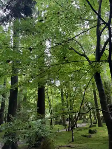 円通院(宮城県)