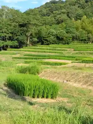 杉山神社（葉山・上山口）(神奈川県)