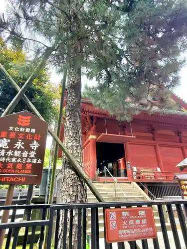 清水観音堂(東京都)