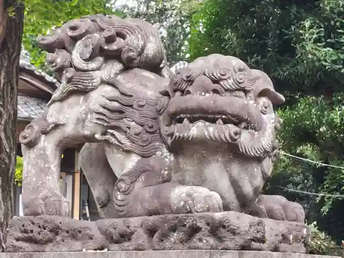 八幡神社の狛犬