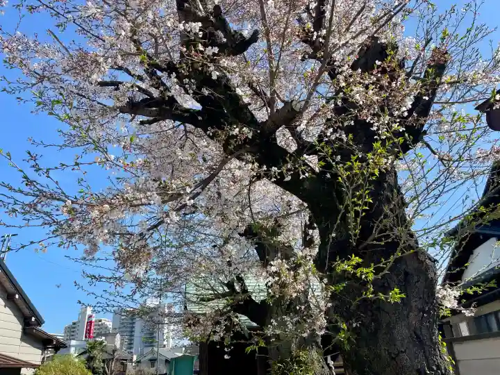御嶽神社の{uncategorized: "未分類", other: "その他", undefined: "問題あり", building: "その他建物", grave: "お墓", sacred_gate: "鳥居", guardian: "狛犬", statue: "像", buddha: "仏像", history: "歴史", nature: "自然", garden: "庭園", animal: "動物", pagoda: "塔", temizu: "手水舎", mountain_gate: "山門・神門", sanctuary: "本殿・本堂", subordinate: "末社・摂社", art: "芸術", scenery: "景色", jizo: "地蔵", ema: "絵馬", goshuin: "御朱印", omikuji: "おみくじ", items: "授与品その他", amulet: "お守り", goshuincho: "御朱印帳", eats: "食事", festival: "お祭り", votive_dance: "神楽", shichigosan: "七五三参", wedding: "結婚式", experience: "体験その他", initially: "初詣", around: "周辺", anti_infection: "感染症対策"}