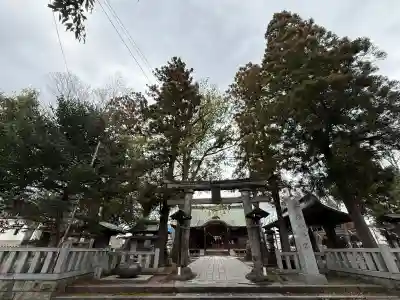 六椹八幡宮の{uncategorized: "未分類", other: "その他", undefined: "問題あり", building: "その他建物", grave: "お墓", sacred_gate: "鳥居", guardian: "狛犬", statue: "像", buddha: "仏像", history: "歴史", nature: "自然", garden: "庭園", animal: "動物", pagoda: "塔", temizu: "手水舎", mountain_gate: "山門・神門", sanctuary: "本殿・本堂", subordinate: "末社・摂社", art: "芸術", scenery: "景色", jizo: "地蔵", ema: "絵馬", goshuin: "御朱印", omikuji: "おみくじ", items: "授与品その他", amulet: "お守り", goshuincho: "御朱印帳", eats: "食事", festival: "お祭り", votive_dance: "神楽", shichigosan: "七五三参", wedding: "結婚式", experience: "体験その他", initially: "初詣", around: "周辺", anti_infection: "感染症対策"}