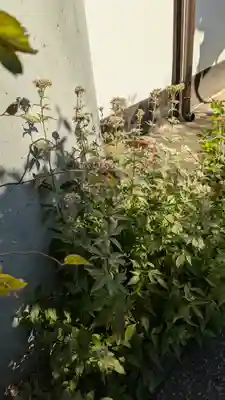 尊陽院(京都府)