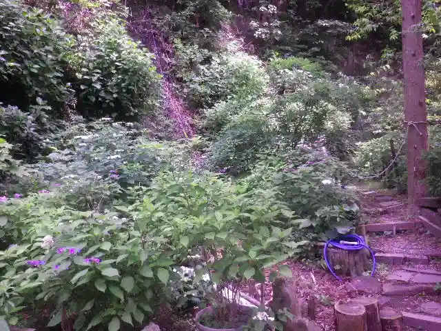 御霊神社の自然