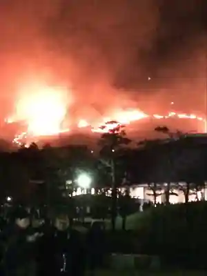 春日大社(奈良県)