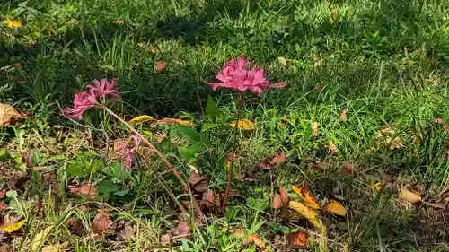 平野神社(京都府)