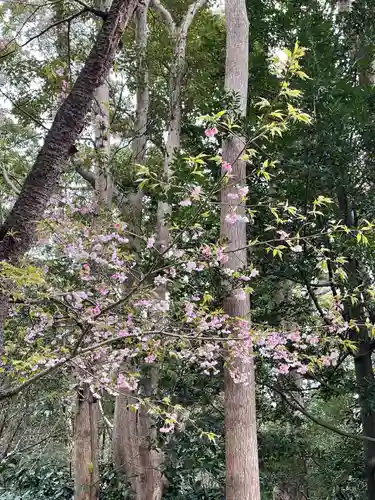 鶴岡八幡宮の自然