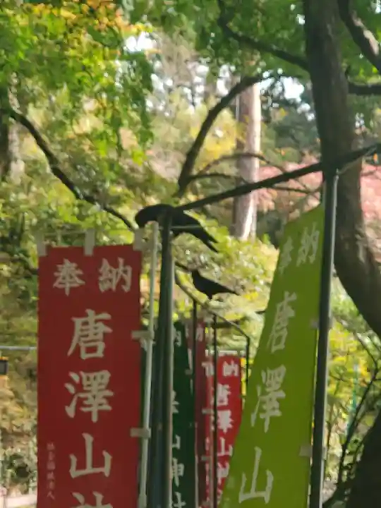 唐澤山神社(栃木県)