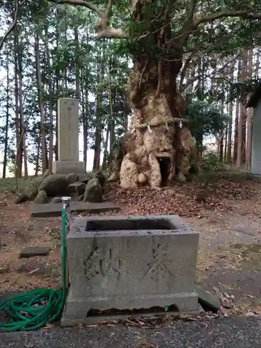 浅間神社(静岡県)
