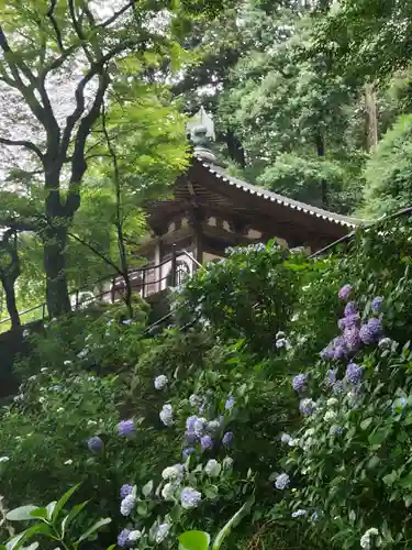 長谷寺(奈良県)