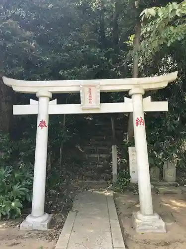 冨士浅間神社の鳥居