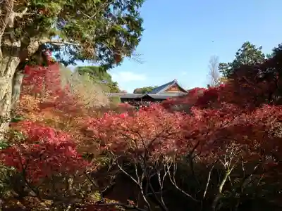 東福禅寺(東福寺)(京都府)