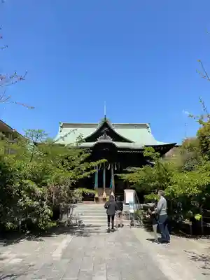 桜神宮の本殿・本堂