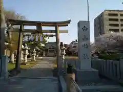 白山神社の鳥居