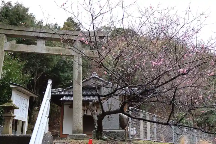 岐神社(島根県)