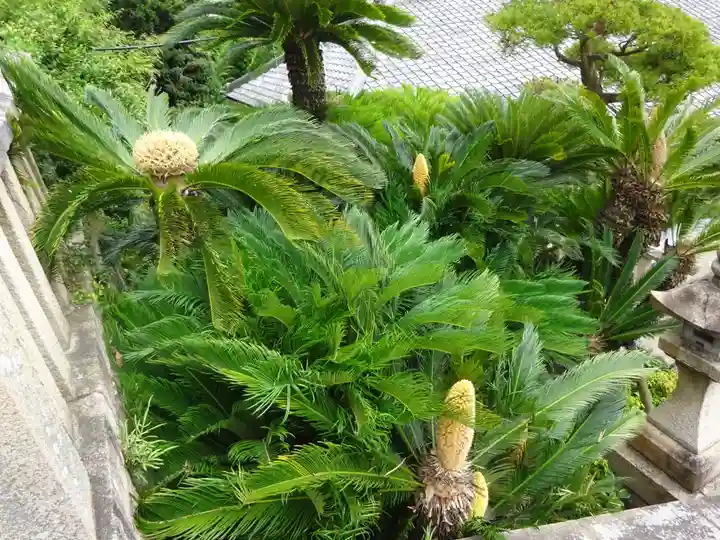 叶神社(東叶神社)の自然