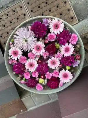 成田山深川不動堂（新勝寺東京別院）(東京都)