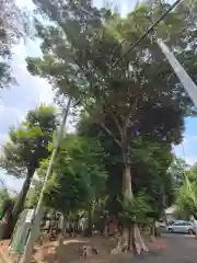 馬場氷川神社の周辺