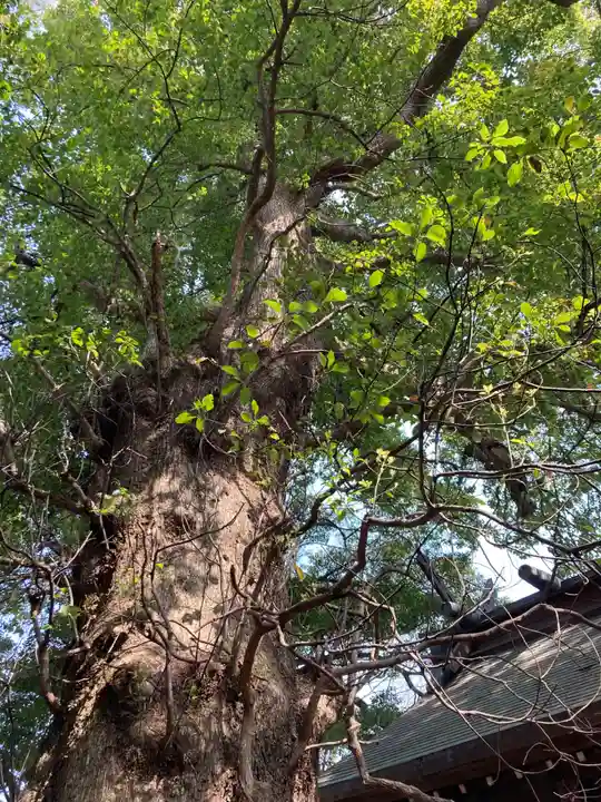 今宮神社(静岡県)