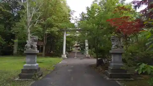 岩見澤神社の鳥居