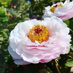 滑川神社 - 仕事と子どもの守り神の周辺