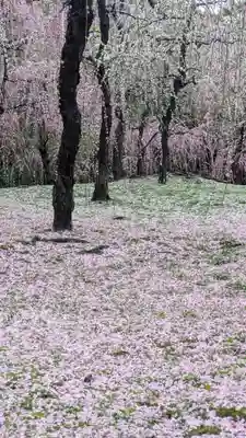 城南宮(京都府)