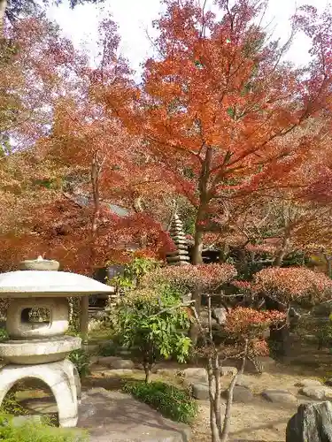 覚園寺の庭園