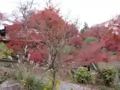 建長寺の自然