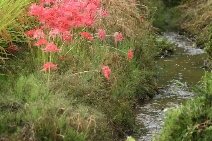 鹿島大神宮の自然