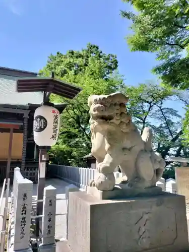 星川杉山神社(神奈川県)