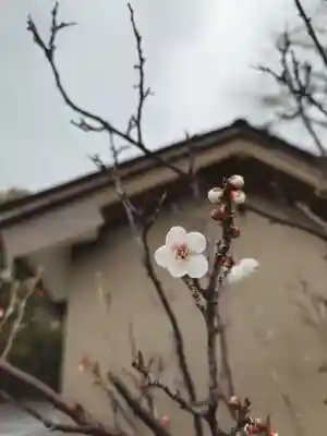 豊山八幡神社(福岡県)