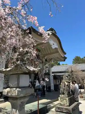 武雄神社(佐賀県)