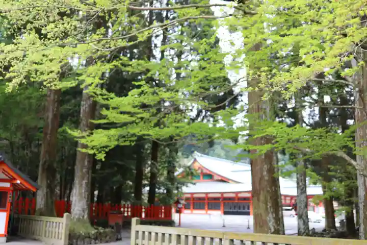 霧島神宮(鹿児島県)