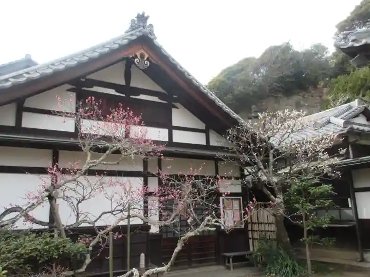 浄光明寺(神奈川県)