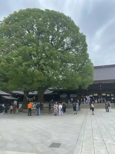 明治神宮(東京都)