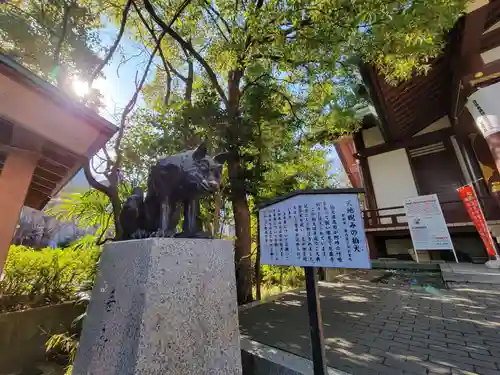 稲毛神社の狛犬